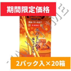 【期間限定価格】グリコ　ポッキー　冬のきらめき塩キャラメル　2パック入×20箱