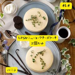【GoldenCheese】しとらかニューヨークチーズケーキ　オレオ/バニラ2個セット
