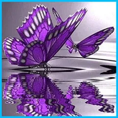 2024年最新】紫蝶の人気アイテム - メルカリ