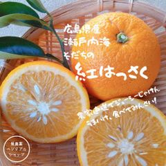 広島県産 減農薬 紅はっさく 柑橘 5㎏   柑橘