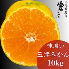 愛媛産　味濃い玉津みかん　家庭用10kg小玉ミックス