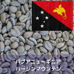 コーヒー生豆 パプアニューギニア バージンマウンテン 1kg