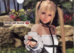 【中古】クリアファイル マリー・ローズ＆ほのか A4クリアファイル 「PS4ソフト DEAD OR ALIVE 6」 GAMECITYオンラインショッピング購入特典