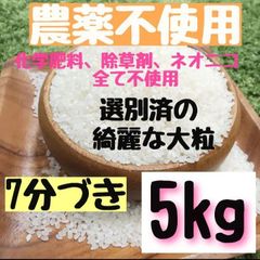 新米 【綺麗な大粒】農薬不使用 7分づき 5kg 玄米  白米