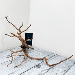 【いくつもの枝が魅力的】プレミアムブランチウッド/Branchwood【B007】