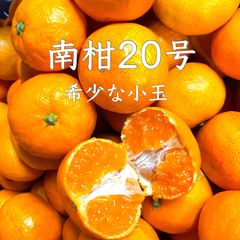 愛媛産　味濃い玉津みかん　南柑20号　濃厚な小玉　家庭用5kg