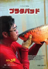 レア　アジアアロワナ　プラタパット　31冊とおまけ レア アジアアロワナ プラタパット 31冊とおまけ