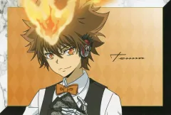 【中古】ポストカード 沢田綱吉(横型) 「家庭教師ヒットマンREBORN! アニメイトフェア in 2025 描き下ろし カジノver. トレーディングポストカード」