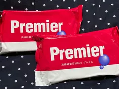 石塑粘土 『LaDoll Premier (ラドール プルミエ) 300g』 PADICO パジコ  2個セット