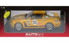 1/18 Ford Mustang FR500C Grand-Am Cup#55 - メルカリ