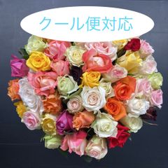 クール便対応！バラB品MIX【生花・切り花】40cm 50本《画像参照》