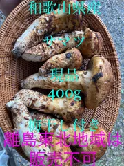 2024年最新】早松茸の人気アイテム - メルカリ