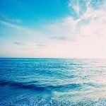 ✨希少 完動品✨ 中島 NAKAJIMA タイプライター Model 8000｜ハード