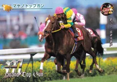 マヤノトップガン：第45回 阪神大賞典「サラブレッドカード 97年上半期版」No.024