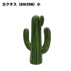 カクタス（DULTON）小