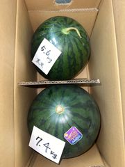 北海道沖縄離島追加送料無し　熊本県産赤肉すいか《黒皮すいか5.6kg》黄色すいか《ムーンフラッシュ7.4kg》現品販売
