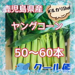 ひろっちゃんちの野菜 ＊はなこ - メルカリShops