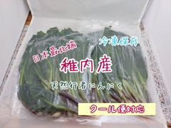 《てかまるち》日本最北端稚内産行者にんにく