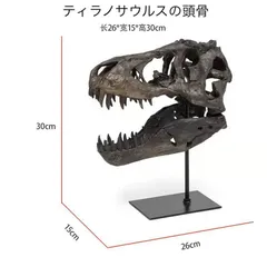 恐竜化石 レプリカ 縦43cm 横16.5cm 2025年最新】恐竜 化石 レプリカの人気アイテム - メルカリ