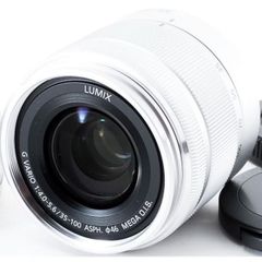 パナソニック 望遠レンズ Panasonic LUMIX G VARIO 35-100mm/F4.0-5.6 ASPH./MEGA O.I.S H-FS35100-S(シルバー) 中古 保証 レンズフード付き