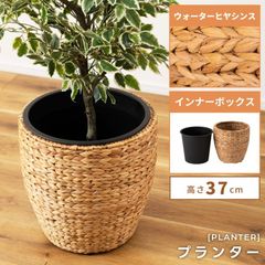 プランター 植木鉢 7号用 単品 おしゃれ ナチュラル グリーンポット 鉢植え 室内 ガーデニング ベランダ ガーデン インテリア 観葉植物 アジアン リゾート 北欧
