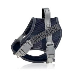 Item thumbnail for item f325b6c8-0a5e-47a0-bf58-dd41f934945b