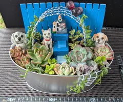 多肉の寄せ植え ★frower car-フラワーカー 黄色★ 多肉の寄せ植え ☆frower car-フラワーカー 黄色☆