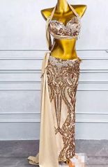 ベリーダンス オリエンタル衣装 腕飾り付 ブラ スカート オーダーメイド ベリーダンス オリエンタル衣装 腕飾り付 ブラ スカート