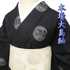 クラス✺新品 正絹 作家物落款 トールサイズ 大島紬訪問着 A3743 新品 正絹 作家物落款 トールサイズ 大島紬訪問着 着物 A3743