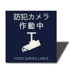 【在庫処分】耐水 耐候 おしゃれ 2㎜アクリル製 ステッカー (ブルー 両面テープ付き 作動中（イラスト型）サインプレート 100×100㎜（1枚）) 防犯カメラ Seagron