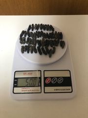 工場直売　関西産A級品 乾燥なまこ　超ミニサイズ 50g50匹 (計量時50g50本)