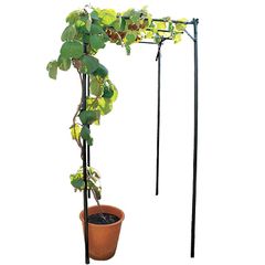 Item thumbnail for item 558ff51e-d313-4ab5-8737-5644426e91ba