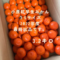 ポラリス様専用です。小原紅早生みかん箱込4,8キロ2箱 【T-ポイント5倍