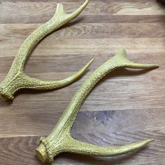 鹿スカルの壁掛け 左右非対称角 - メルカリ