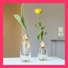 ビンテージ 花瓶 琥珀色 ガラス レトロ フラワーベース 球根 希少 美品 ビンテージ 花瓶 琥珀色 ガラス レトロ フラワーベース 球根
