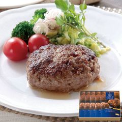 佐賀 佐賀牛ハンバーグ 100g×5 【産直・メーカー直送品】