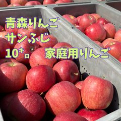ABOりんご サンふじ 家庭用10キロ