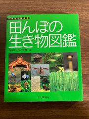 コンパニオン チェック 英熟語 山口書店 コンパニオン チェック英熟語 山口書店 コンパニオン チェック英