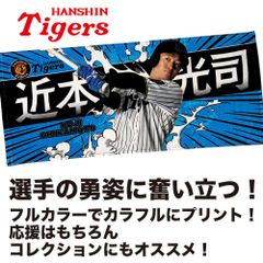 阪神甲子園球場100周年記念 第106回 全国高校野球選手権大会