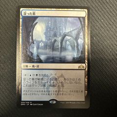 MTG マダラの鉤爪門 日本語 - メルカリ