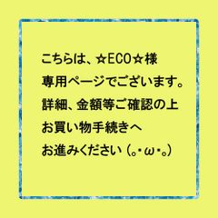 【ご予約】【取置など】こちらは、☆ECO☆様専用ページです。金額などお確かめの上、お買い物手続きへお進みください。