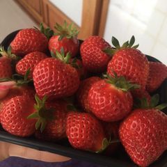 山椒の花、花山椒100 - メルカリ