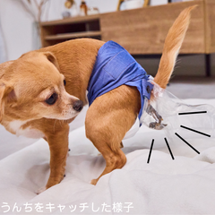 ショップの評価