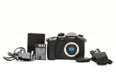 2025年最新】Lumix DC-GH5の人気アイテム - メルカリ