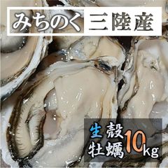 生食OK 10kg 三陸産 殻付き生牡蠣 新鮮 宮城 岩手 鉄分 ミネラル豊富
