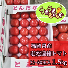 【数量限定品】福岡県産　若松濃縮トマト　1.5kg（22～30玉） 濃縮トマト　若松トマト　トマト
