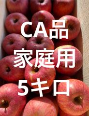 青森県産りんごフジ家庭用5キロ