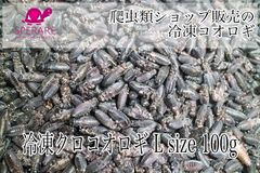 冷凍クロコオロギ L size 100g (約110匹)