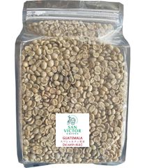【今なら15％ポイント還元】グアテマラTOPスペシャルティコーヒー生豆【3KG】