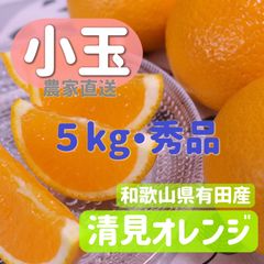 清見オレンジ　小玉　５キロ　秀品　和歌山県有田産